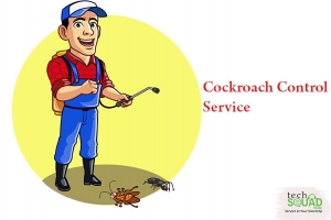 Affordable and effective cockroach control service